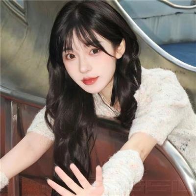 代号美洲豹